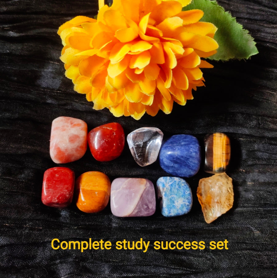 Study Tumble Set