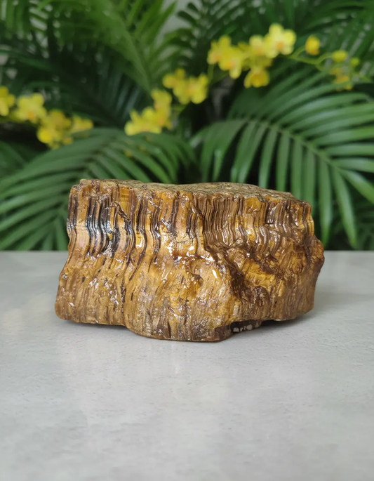 Unpolished tiger eye rough form showing natural golden brown banding for decorative use