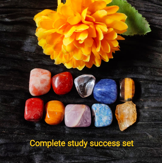 Study Tumble Set